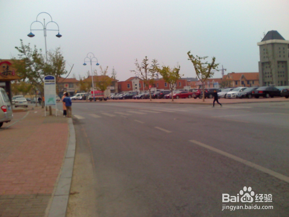 怎样告诉孩子安全出行---5