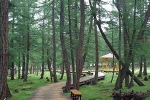 该去的七个新疆景点