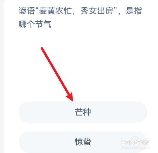 《蚂蚁新村》谚语麦黄农忙秀女出房