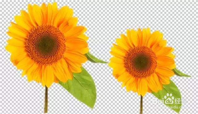 Photoshop新手们的抠图技巧