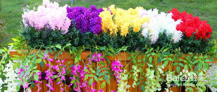 养花都有哪些注意事项和技巧小窍门