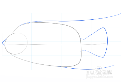 如何画女王神仙鱼