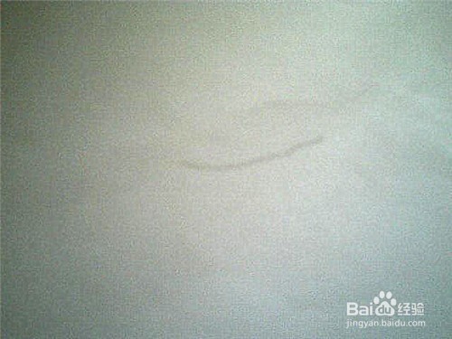 简笔画喇叭花的顶部咋画