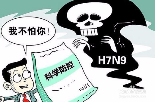 H7N9禽流感的症状及防治常识？