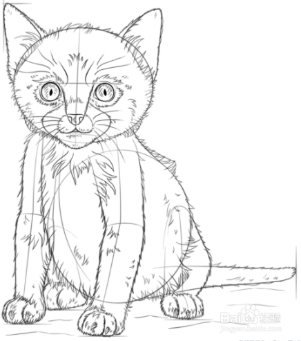 如何画一只可爱的小猫
