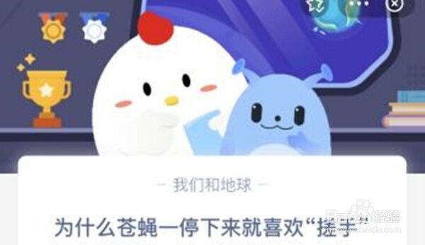 为什么苍蝇一停下来就喜欢搓手