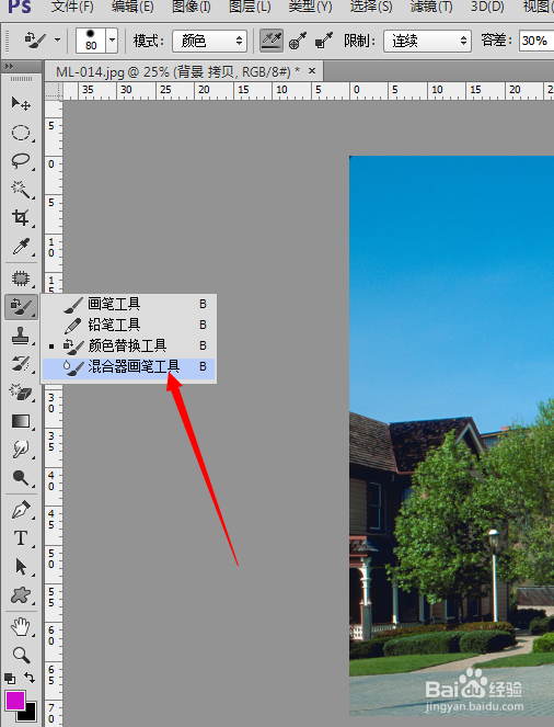 ps中怎么用混合器画笔工具制作油彩画效果