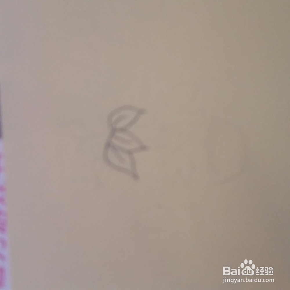 仙客来小盆栽简笔画