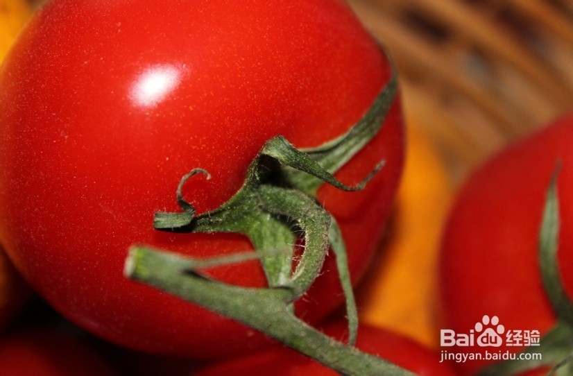 番茄生理性病害防治