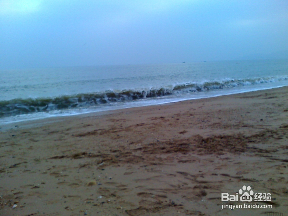 谈谈年轻爸爸妈妈告诉孩子过年趣事--初五出门