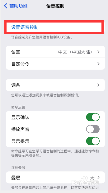 苹果手机怎么打开语音控制