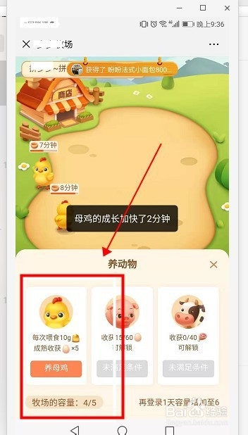 多多牧场收获鸡蛋数量并继续领养母鸡流程