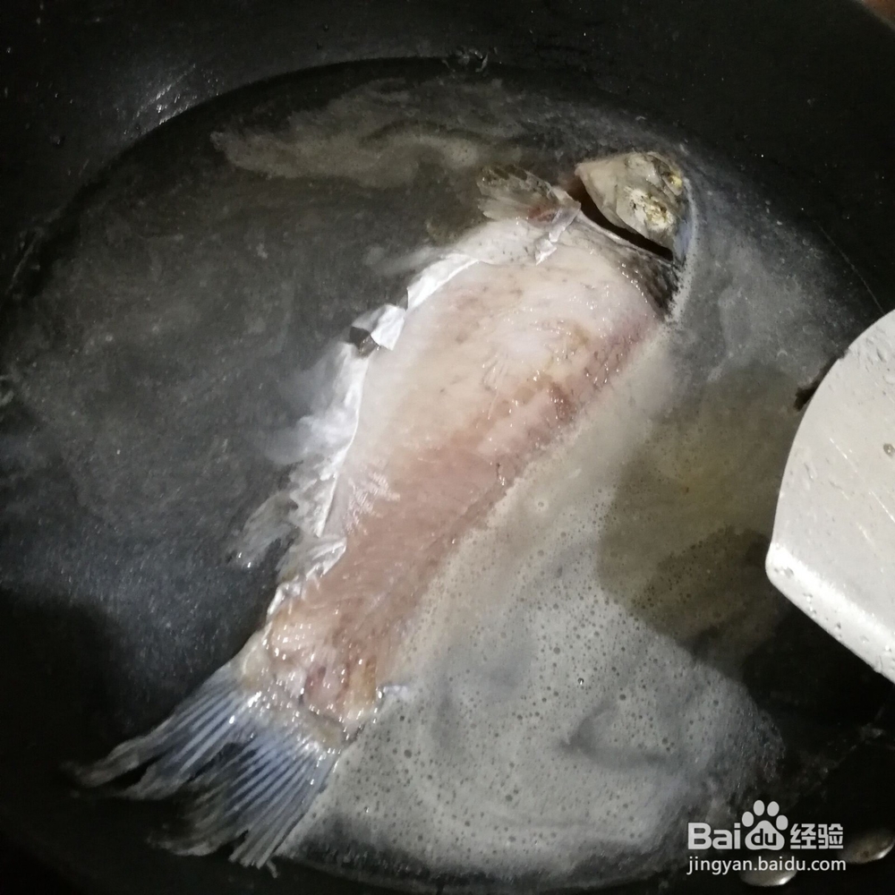 奶白奶白的鲫鱼汤怎么烧