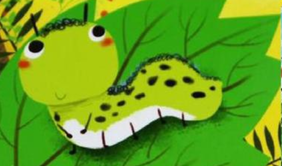 你喜欢小毛虫吗为什么请你简单的说一说