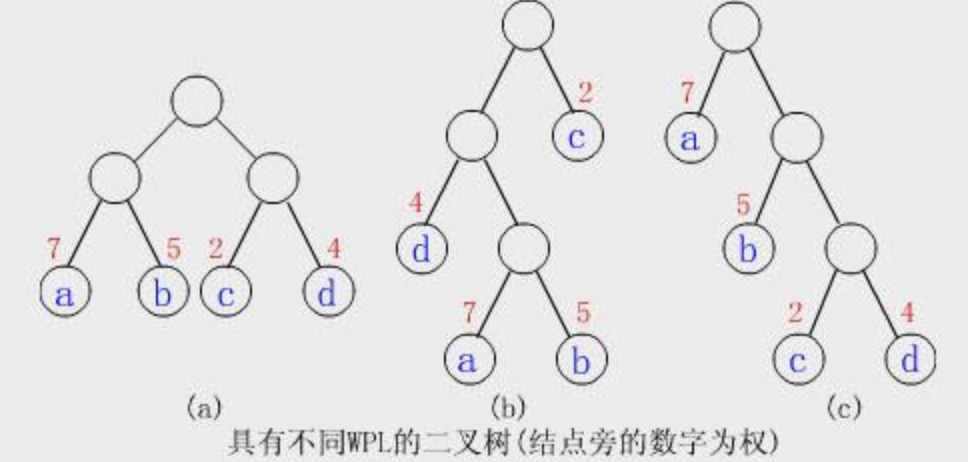 由五个带权值为9,2,3,5,14的叶子结点构成哈夫曼树,带权路径长度为:()