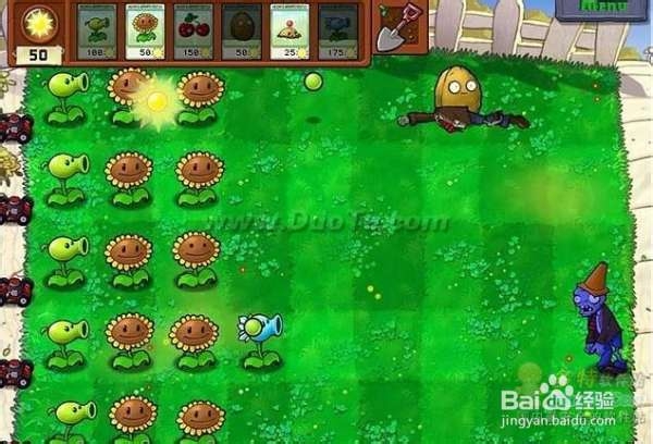 《植物大战僵尸》第一大关详细流程攻略