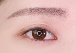 几乎没有眉毛怎么办