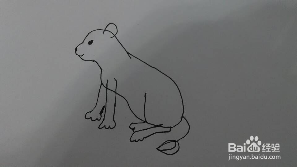 简单画--雌狮