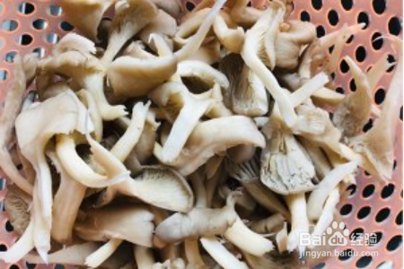 椒盐蘑菇-超好吃的下酒菜