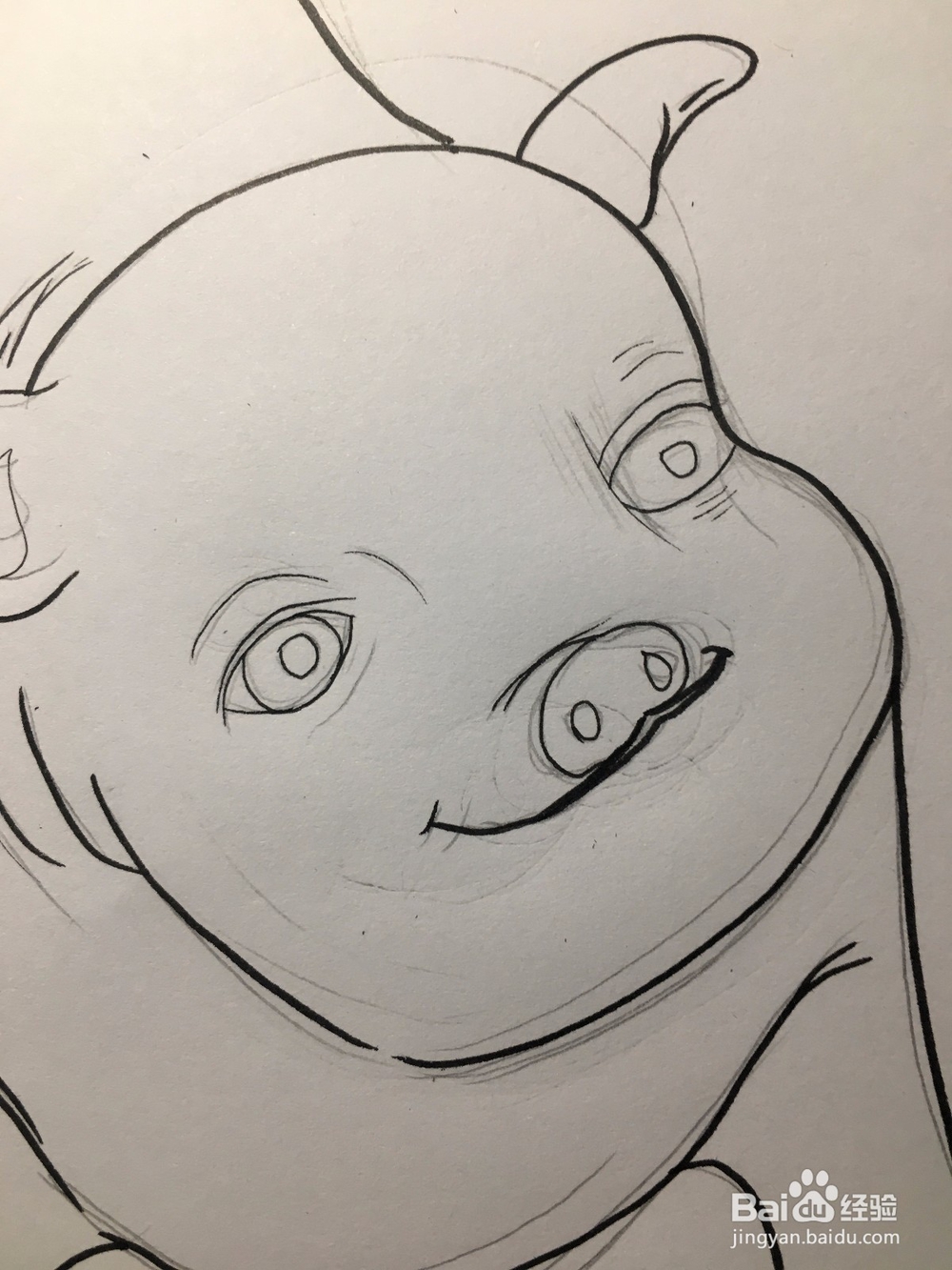 教你画一只萌萌的肥猪 猪年简笔画猪