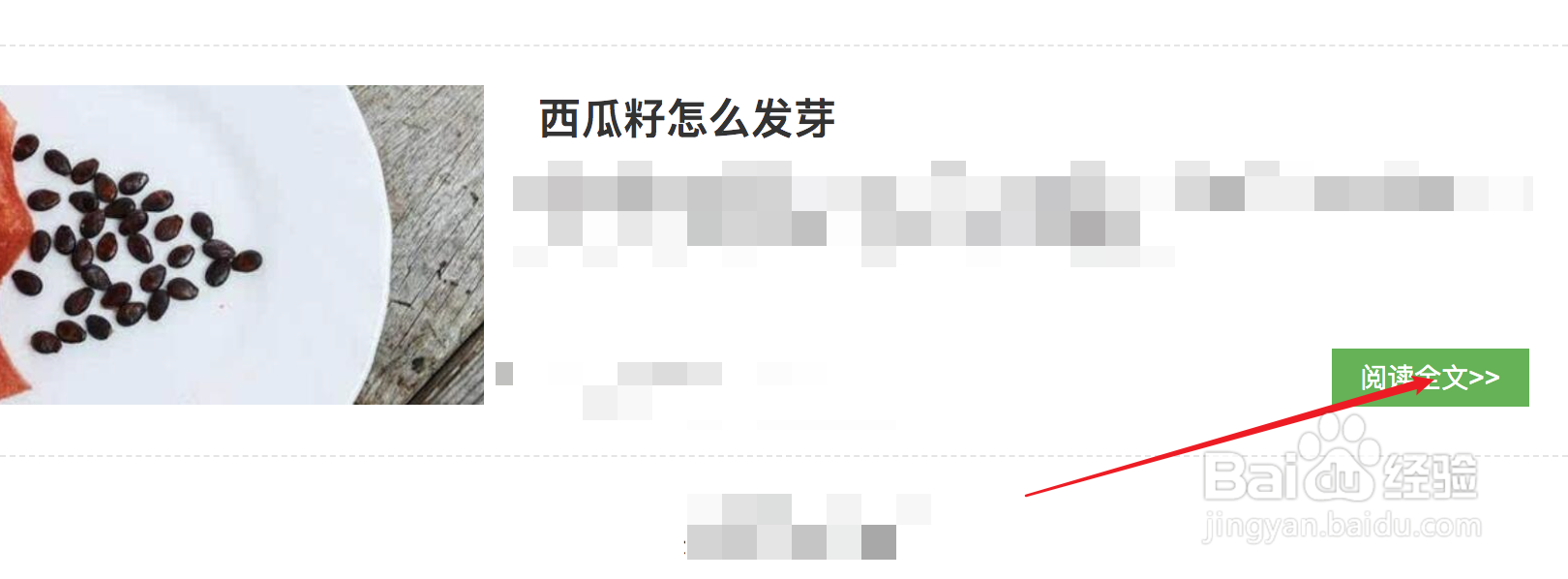 西瓜子如何发芽种西瓜