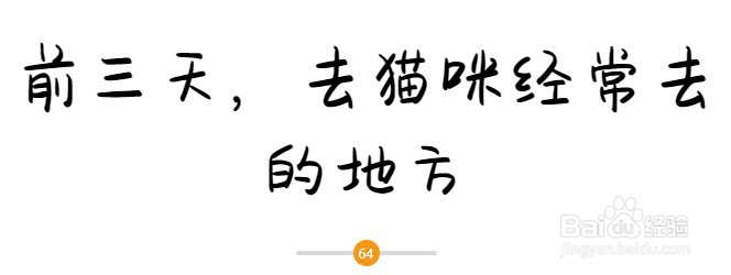 猫咪找回的“黄金时间”
