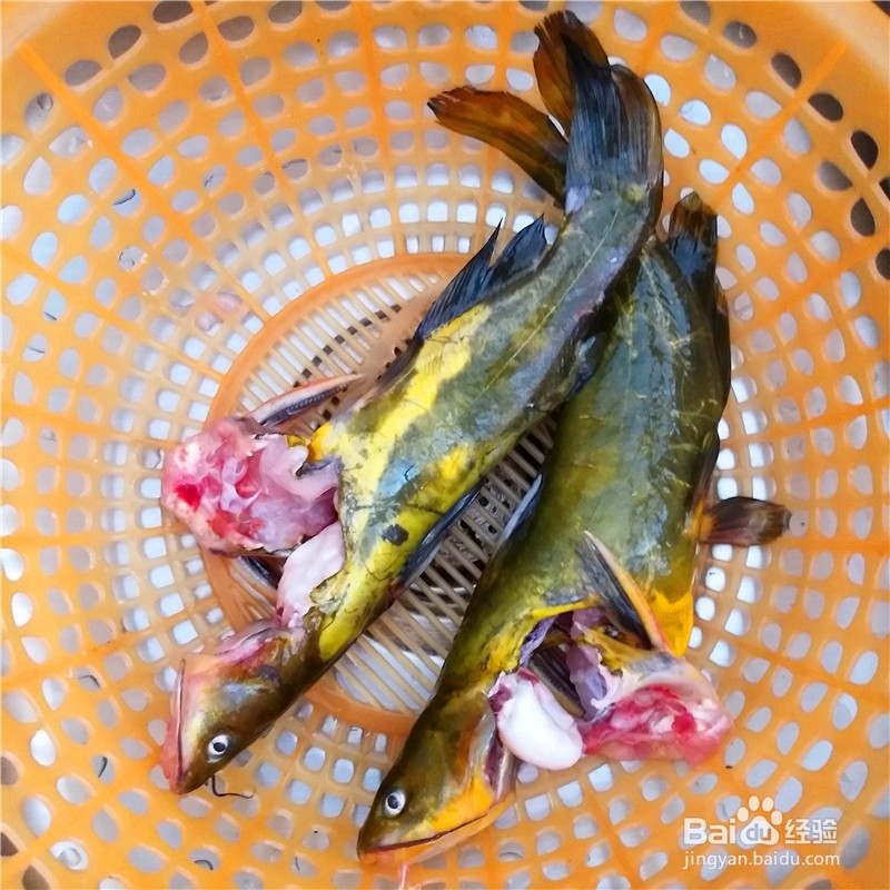 汪刺鱼的做法