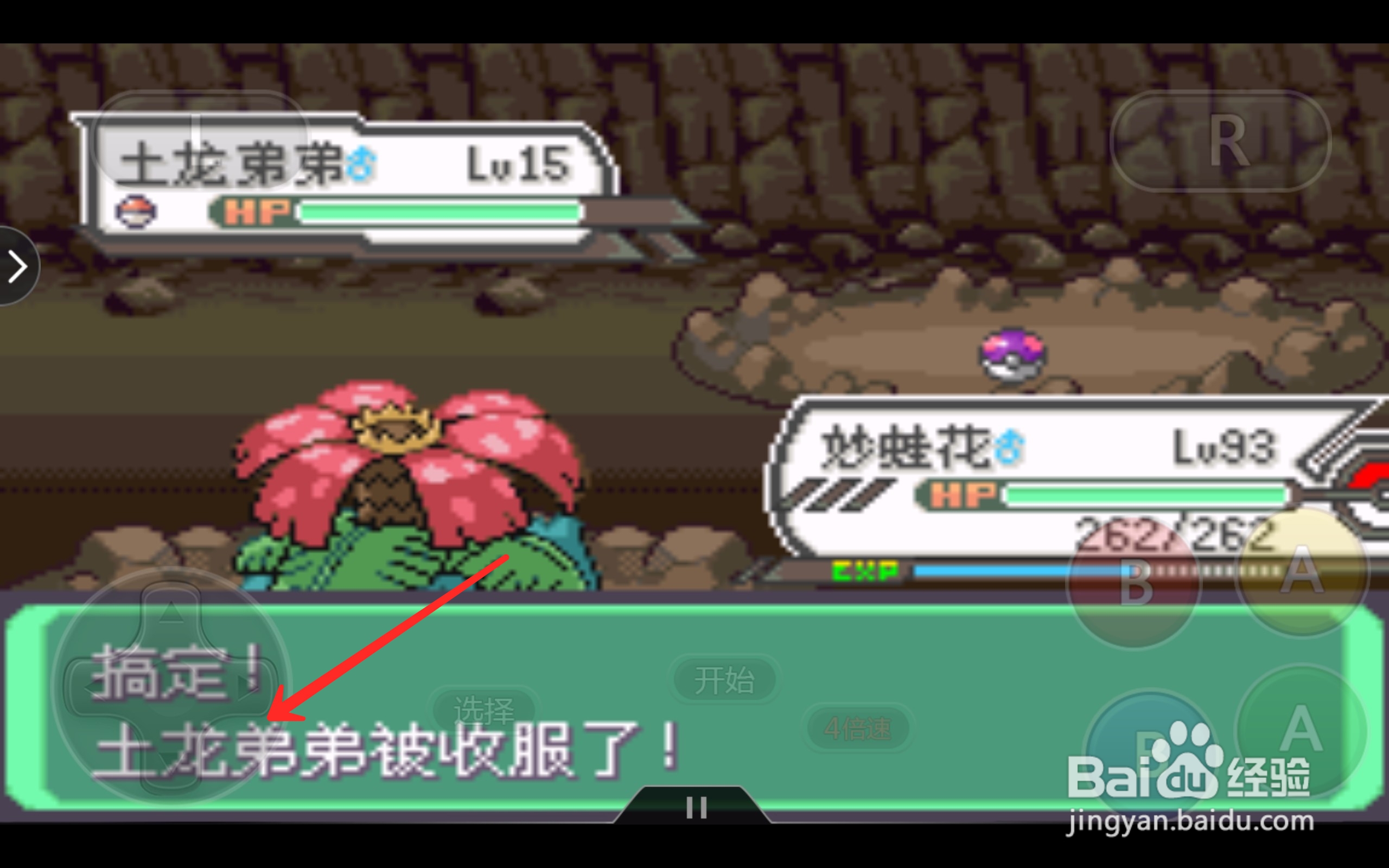 口袋妖怪土龙弟弟在哪抓