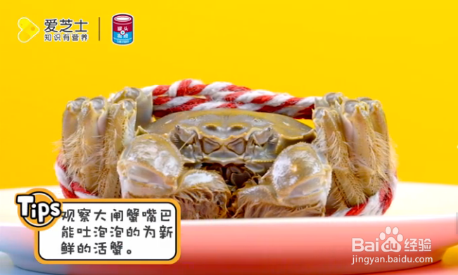 怎样挑选新鲜大闸蟹