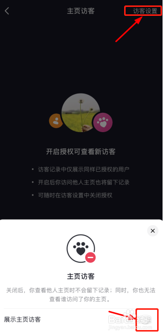 抖音查看主页访客记录如何设置