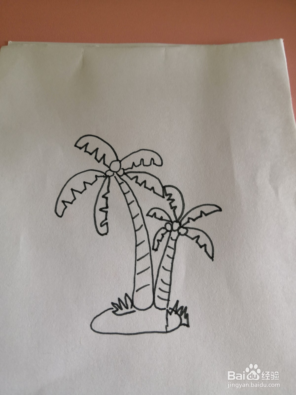 椰子树的简笔画