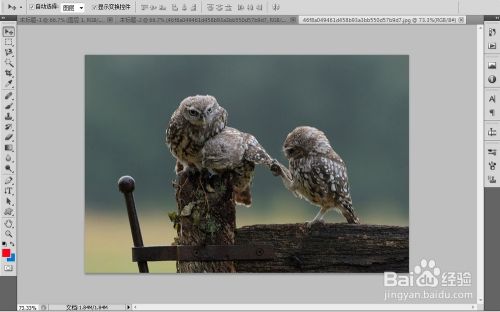 PS中缩放界面大小的几种方法