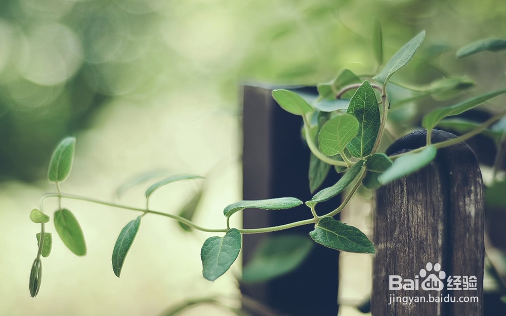 痤疮症状与防治