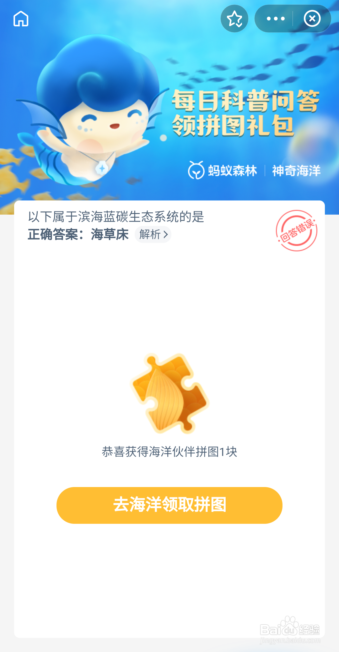 神奇海洋 以下属于海蓝碳生态系统的是河湖湿地