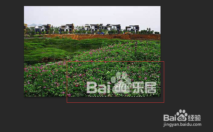 ps怎么去除水印