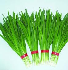 怎么才能做出好吃的韭菜炒鸡蛋