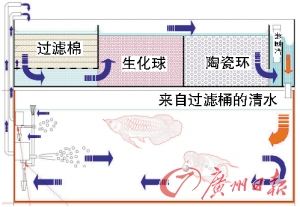 鱼缸常见的八大过滤形式