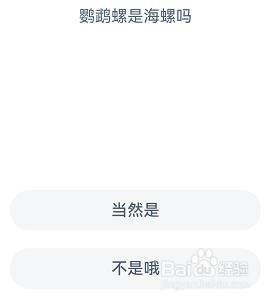 鹦鹉螺是海螺吗神奇海洋9月23日答案
