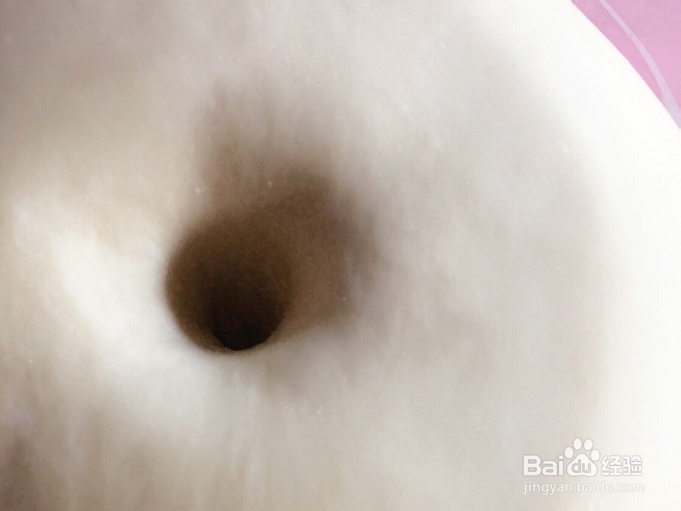 给对象做的蔓越莓提子卷