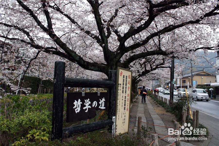 日本京都旅游自由行攻略