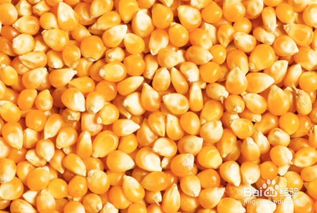 适宜和玉米搭配的食材怎样吃玉米营养健康指南2