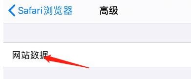 怎么编辑Safari浏览器中的网站数据