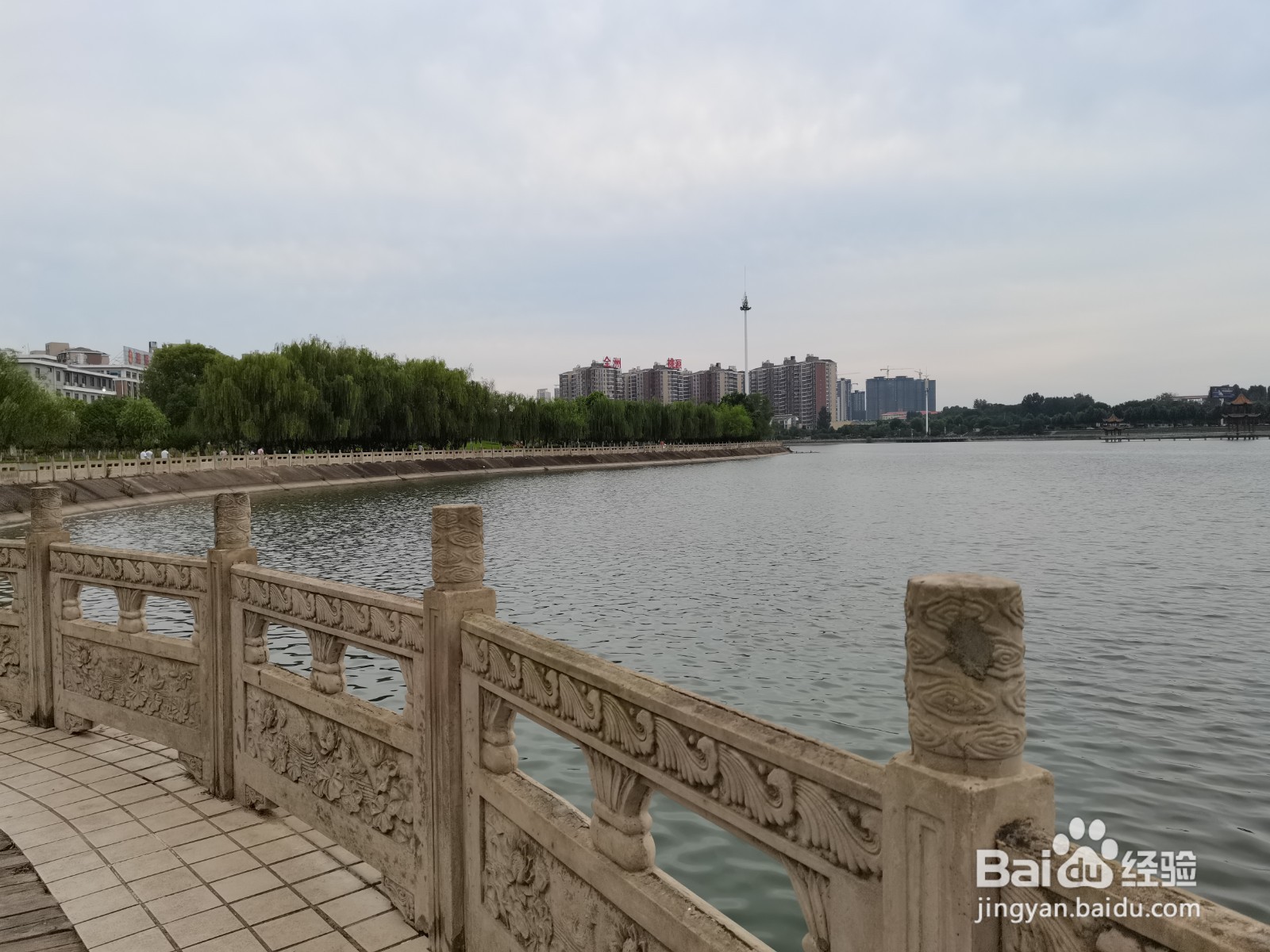 孝昌风景之观塘