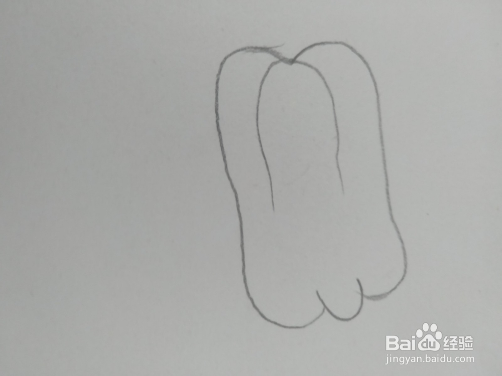 儿童简笔画辣椒画法6