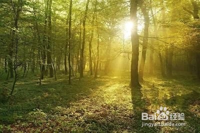 你知道有哪些方法可以补阳气吗?