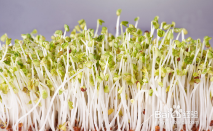 床单黑霉斑怎么洗掉