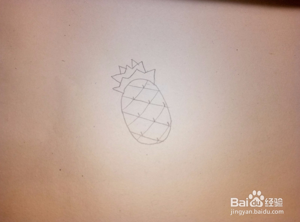 简笔画之——菠萝