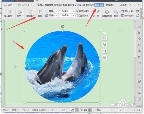 word文档两行并列怎么操作