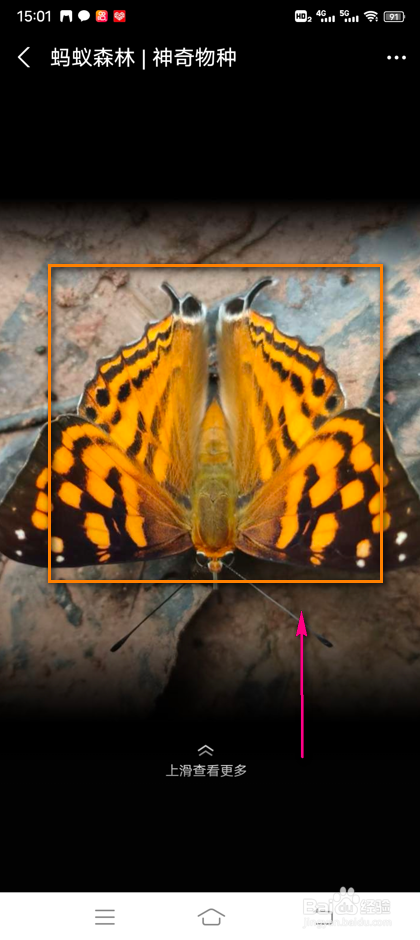 怎么解锁支付宝新的勋章