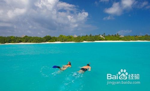 马尔大夫-神仙珊瑚岛